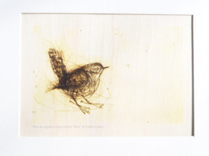 Wren Print on Wood by Bridget Farmer (Australia)