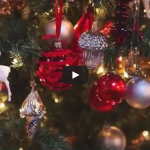 Christmas Tree Video